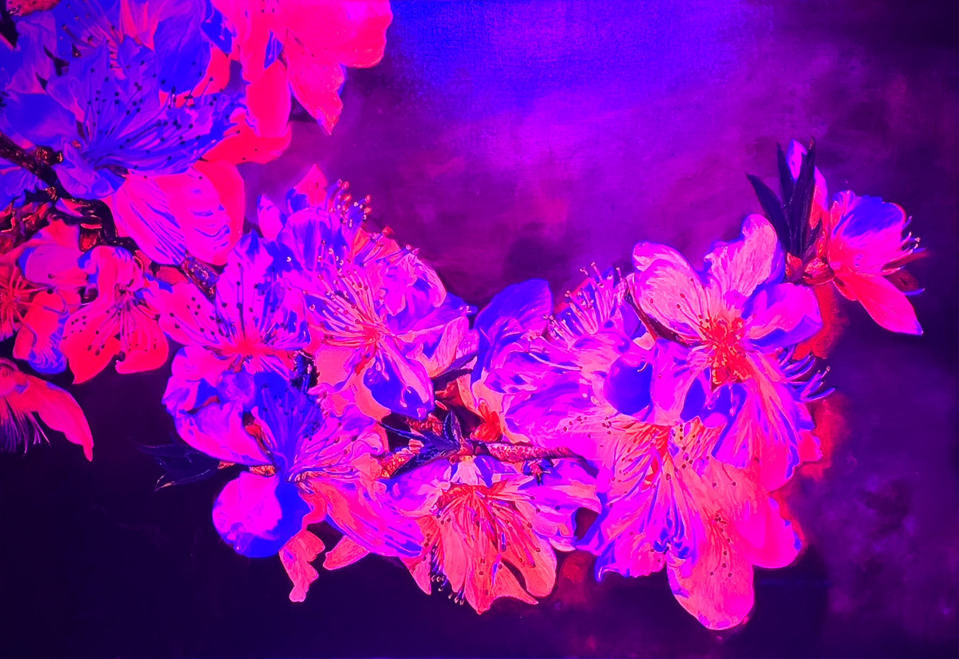 Jennifer Lee_Dazzlingly Beautiful Ⅱ+UV_2024_Oil, UV-reactive pigments on canvas_116.8 x 80.3cm