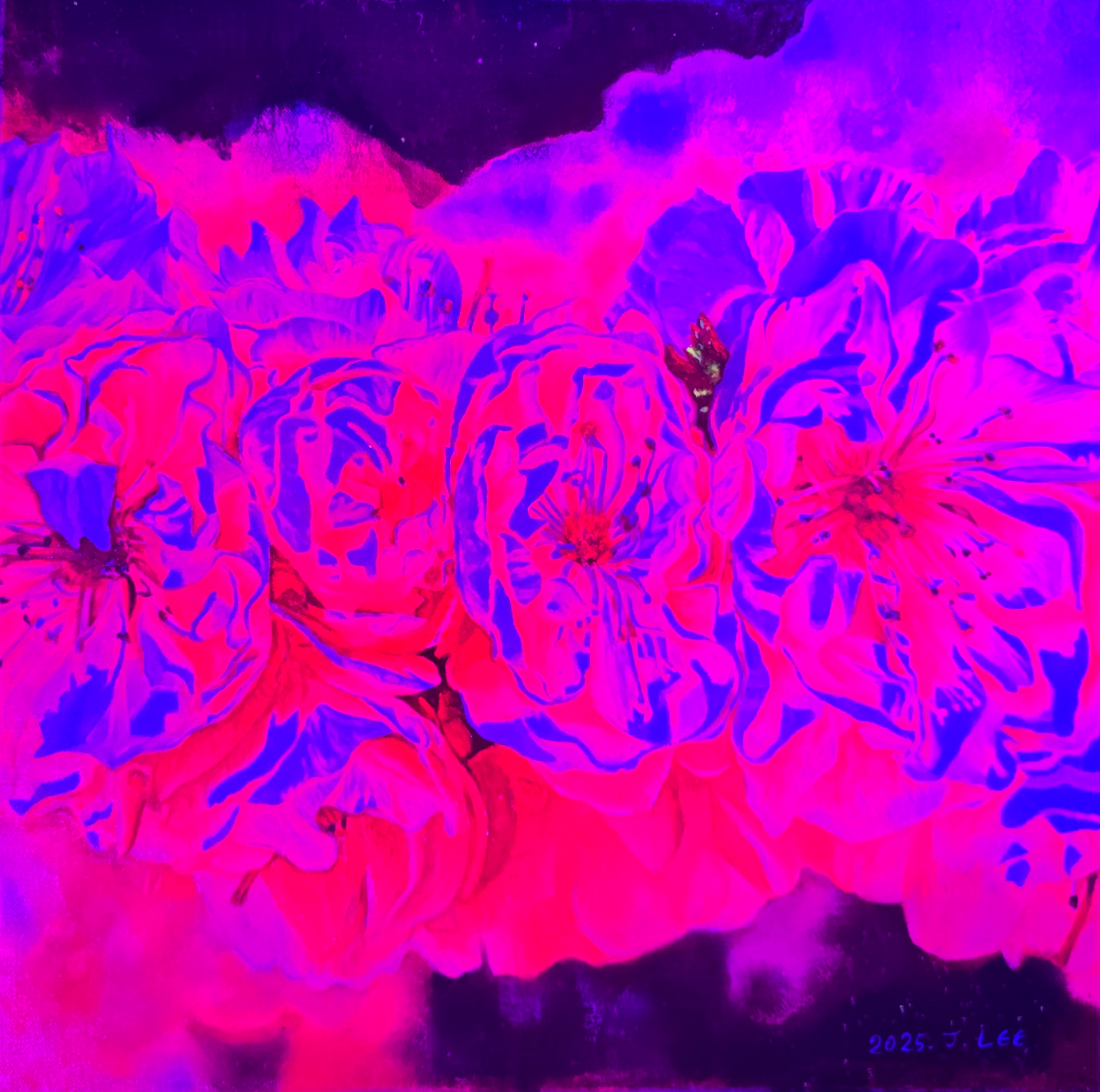 Revolution of Petals_UV