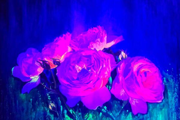 Nocturne on Canvas_UV