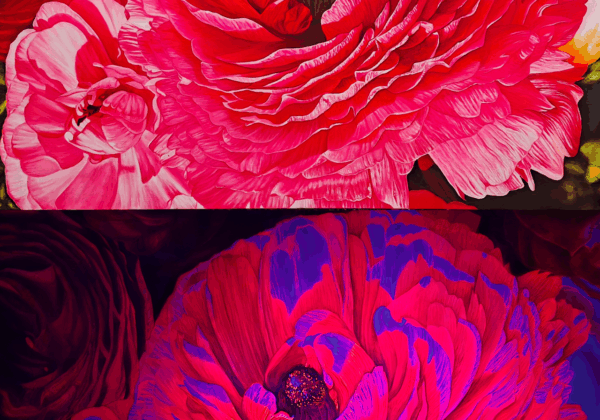 12764_22274_1760951731